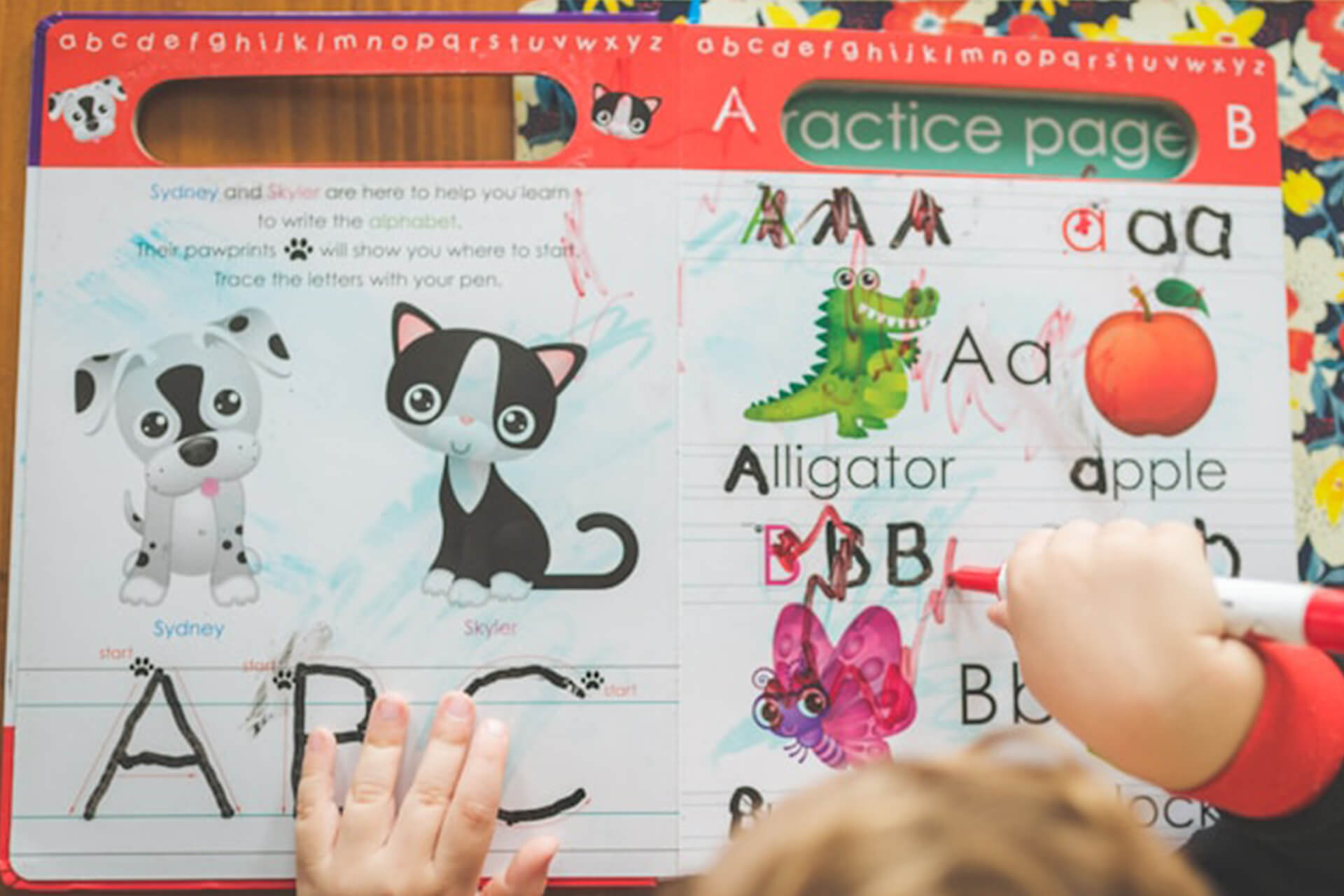 why we use jolly phonics